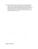 Caso TRENES DE JAPON