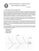 Análisis companía EFICEINCIA S.A