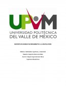 REPORTE DE MUSEO DE MONUMENTO A LA REVOLUCION