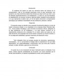 Caso empresa Mixta Petrolera Kaki, S.A