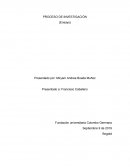 PROCESO DE INVESTIGACIÓN (Ensayo)