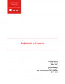 Emperndimiento. Análisis de la Industria