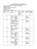 MATRIZ DE PLANIFICACION DE LAS HORAS PAE
