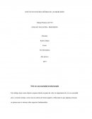 Trabajo Práctico de FVT ENSAYO VOCACIÓN - PROFESIÓN