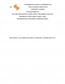 EFECTO DE LA SALCHICHA DE POLLO A BASE DE LA HARINA DE YUCA