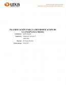 PLANIFICACIÓN PARA LA DIVERSIFICACION DE LA ENSEÑANZA MEDIA