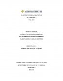 Análisis de la empresa West Army Security Ltda