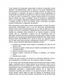 Ensayo sobre higiene y seguridad en el área de la gastronomía