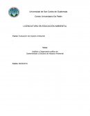 Análisis y Organizador gráfico de Sostenibilidad y Estudios de Impacto Ambiental