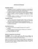 ESTUDIO DE FACTIBILIDAD