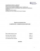 Elaboración conservación montajes