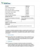 Proyectos de tecnologías de información