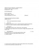 Calculo Experimental de la Densidad