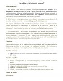 Las lajitas ¿Un fenómeno natural?