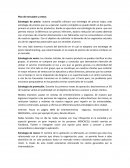 Plan de mercadeo y ventas