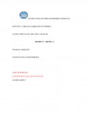 ¿Cuáles son los factores que provocan el desarrollo de la diabetes en la comunidad de Sasaltitla?