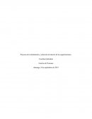Procesos de reclutamiento y selección al interior de las organizaciones