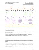 Bauhaus - Precision Funcionalista