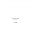 Intervención Psicosocial en Psicopatologías del área cognitiva