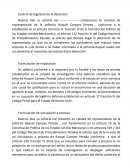 Audiencia Inicial - Caso Careyes