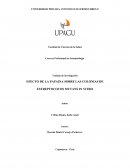 EFECTO DE LA PAPAINA SOBRE LAS COLONIAS DE ESTREPTOCOCOS MUTANS IN VITRO
