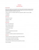 PORSCHE MICROENTORNO