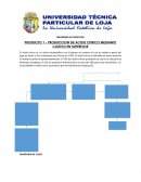 INGENIERÍA DE PROCESOS. PRODUCTO 1 - PRODUCCION DE ACIDO CITRICO MEDIANTE CULTIVO EN SUPERFICIE