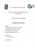 TECNOLOGIA CLINICA AMBIENTAL “DETERMINACIÓN DE TUBERÍA”