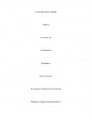 Investigación Cualitativa del Consumidor Marketing y Negocios Internacionales IV