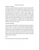 Evaluaciones por campos. Lenguaje y comunicación
