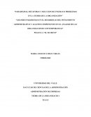 Paradigmas, metaforas y solucion de enigmas o problemas en la teoria de la organización