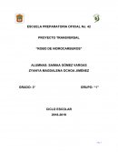 ROBO DE HIDROCARBUROS