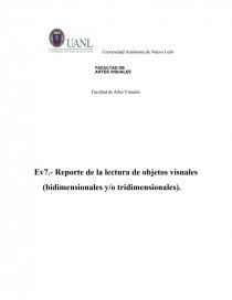 Ev7.- Reporte de la lectura de objetos visuales. Página 1