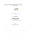 Resumen American Connector Company