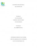 DIAGNOSTICO ORGANIZACIONAL BIO CONSTRUCCION