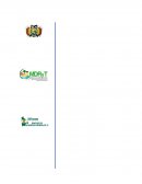 Plan de negocio ALIANZA PUCARANI