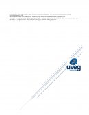 Sistemas de Informacion. ¿Qué es un GDSS y un SIE?