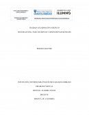 SISTEMA DE HILL PARA ENCRIPTAR Y DESENCRIPTAR MENSAJES