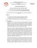Informe DE BIOENERGY S.A