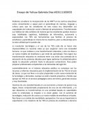 Las tic en la educacion