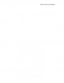 Ensayo de criminalidad