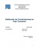 DISTRIBUCION DE CONCENTRACIONES EN FLUJO TURBULENTO