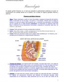 Técnicas ginecológicas