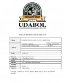 EXPORTACION DE CARNE VACUNA BOLIVIANA