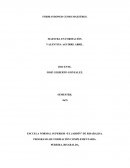 Formando como maestros