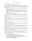 Ortopedia y traumatología