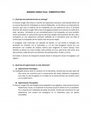 AMAZON JUNGLE VILLA- TAMBOPATA PERU