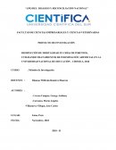 DISMINUCIÓN DE MORTALIDAD EN CRÍAS DE PORCINOS, UTILIZANDO TRATAMIENTOS DE INSEMINACIÓN ARTIFICIAL EN LA UNIVERSIDAD NACIONAL DE EDUCACIÓN – CHOSICA, 2018