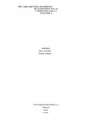 PRE-TAREA IDENTIFICAR TERMINOS RELACIONADOS CON LAS COMPETENCIAS DE LA INGENIERIA