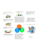 Contaminación. Reciclaje: proceso de reutilización de productos de desechos